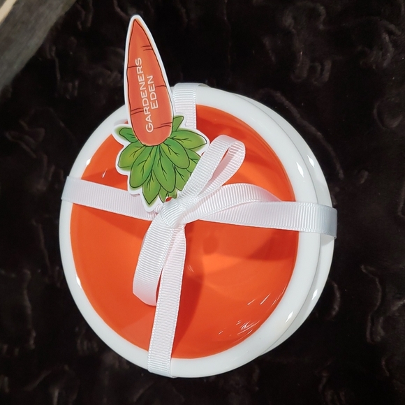 2 pk carrot spring ceramic bowl set NWT - Picture 2 of 4